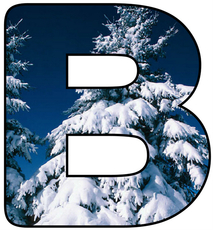Winter-Buchstabe-B.jpg